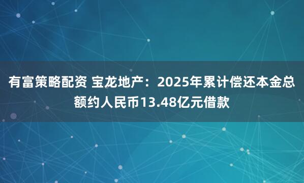 有富策略配资 宝龙地产：2025年累计偿还本金总额约人民币13.48亿元借款